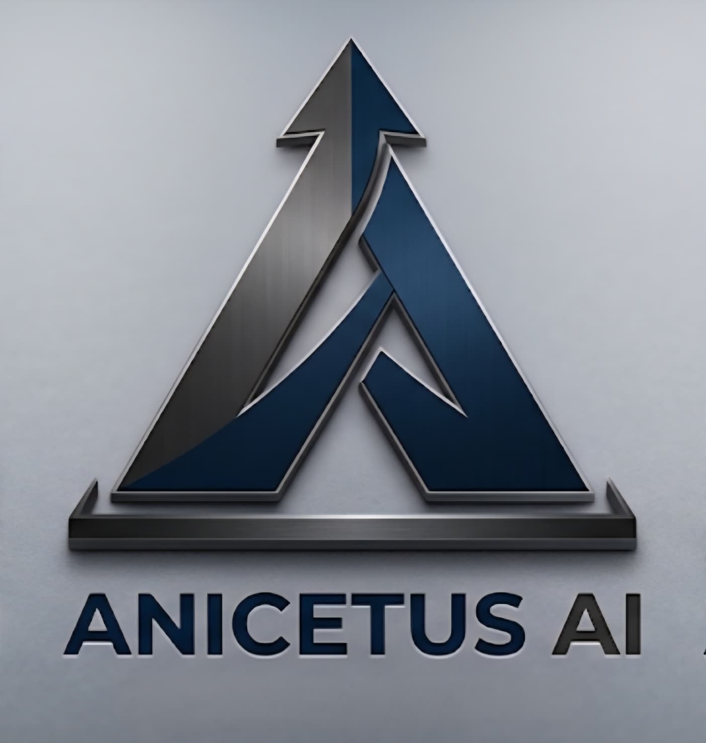 Anicetus